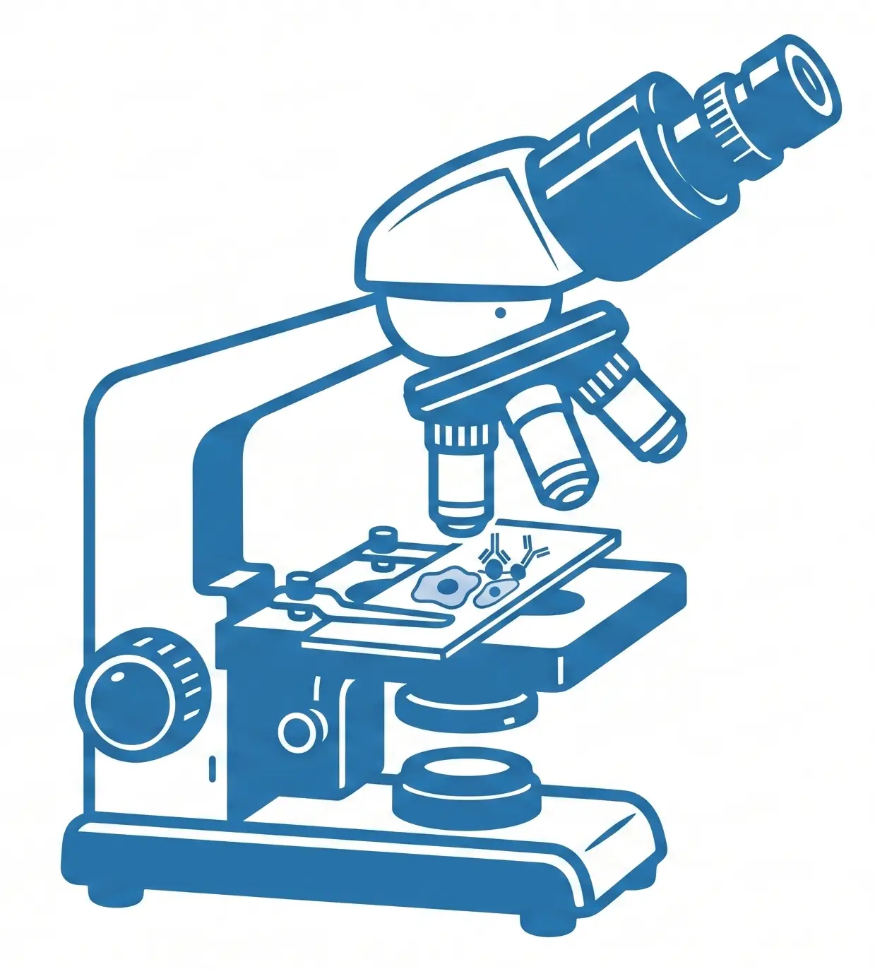 Blue illustration of a compound microscope with a specimen on the stage, ready for viewing.